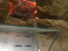 -上海昆虫博物馆