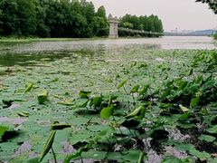 -东湖落雁景区