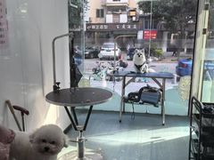 -格蕾宠物医院24H·猫科·肿瘤科·骨科中心(福州总院)