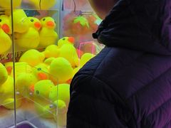 -重庆国际马戏城