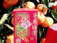 -三亚珠江南田温泉度假区