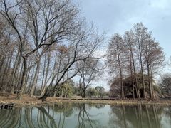 -中国湿地博物馆