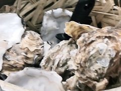 -蚝山·喷汽火山生蚝(前福路店)