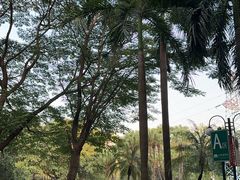 -晓港公园