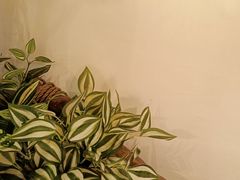 -湘当爱·鲜煮现炒(松岗立业路店)