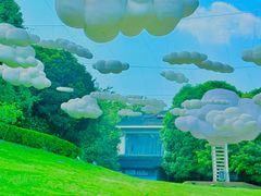 -南山植物园