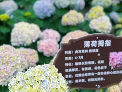-临平公园(临平街道)
