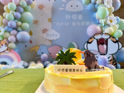 点击看大图 -漾·YOUNG高端派对策划·宝宝宴·求婚·生日·公司庆典布置上海站