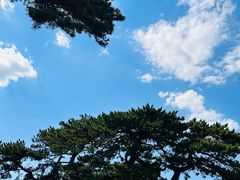 -妙峰山风景名胜区