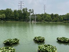 -南京珍珠泉风景区