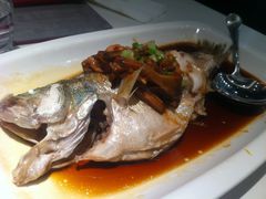 古法肉丝蒸鲈鱼-太兴餐厅(东方广场分店)