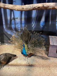 -酷嗒动物文化乐园(cutezoo西溪乐天城店)