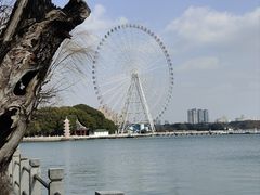 -无锡蠡湖国家湿地公园-蠡园