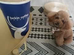 -瑞幸咖啡(艺树家工场店)