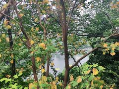 -重庆彩云湖湿地公园