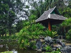 -中国科学院西双版纳热带植物园