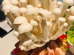 活体白玉菇-煲王粤菜餐厅(中侨中心店)