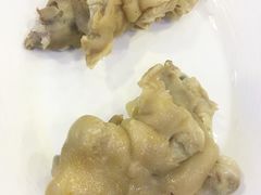 -丁老爷子苏香圆