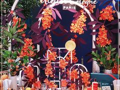 -新世界大丸百货