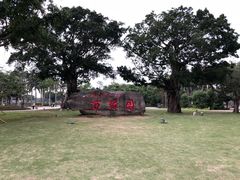 -万绿园