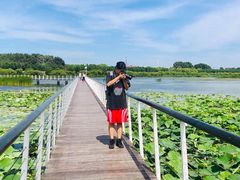 -哈尔滨大剧院
