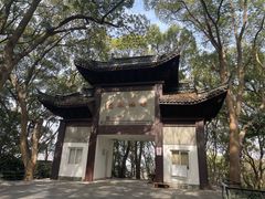 -上海佘山国家森林公园西佘山园