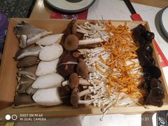 -井格重庆火锅(友谊路新业广场店)