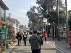 -三圣花乡旅游区