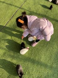 -萌宠亲子动物乐园(槐房万达店)