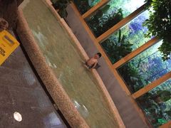泳池-御池园(顾村公园店)