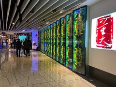 -大董(环贸iapm店)