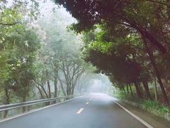 -铁山坪森林公园