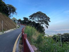 -黄埔油麻山森林公园