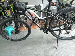 -道路口单车爱瓦士dahon大行