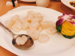 -新南华大酒店(广中店)