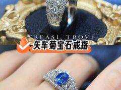 -外滩1288花园丽舍