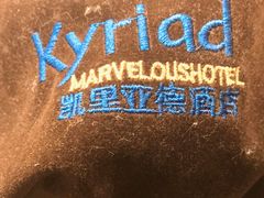 -凯里亚德酒店(成都东站店)