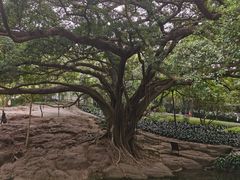 -晓港公园