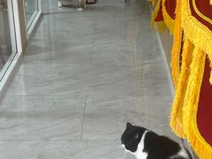 -恒幸动物医院·急重症转诊中心·神经内外科·CT核磁