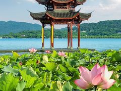 -西溪国家湿地公园