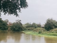 -南宁良凤江国家森林公园