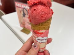 -哈根达斯(深圳海岸城店)