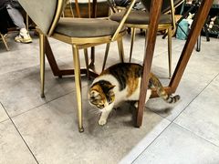 -后海16号·北京私房菜