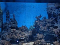 -常州海昌海洋探索馆