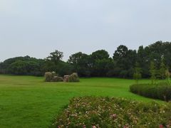 -昆山城市生态森林公园