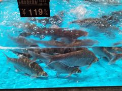 -艳阳天·非遗楚菜(武汉客厅店)