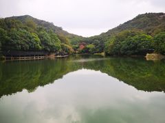-白马涧龙池景区