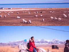 -青海湖国家重点风景名胜区