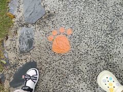 -珠海海泉湾神秘岛亲子乐园