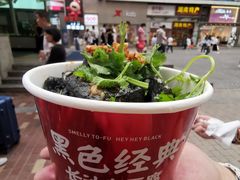 -黑色经典臭豆腐·湖南特产(潇湘文化店)